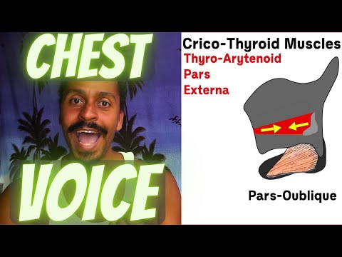 Chest-Voice / The Baby's Cry – Anatomical Vocal Training (55)