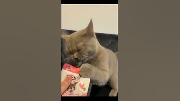 So Yummy 😋 #shorts #funnyshorts #viral #youtubeshorts