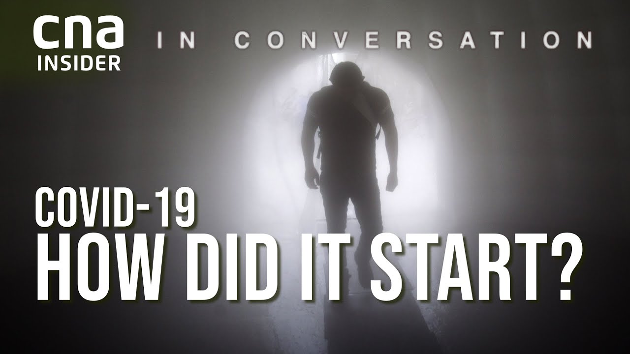 Why We Need To Know COVID-19’s Origins: WHO Chief Scientist | In Conversation | Soumya Swaminathan