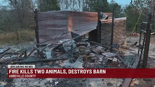 2 pets killed in Abbeville Co. barn fire