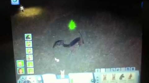 Sims3 on pc part 2 of my dog is deformed