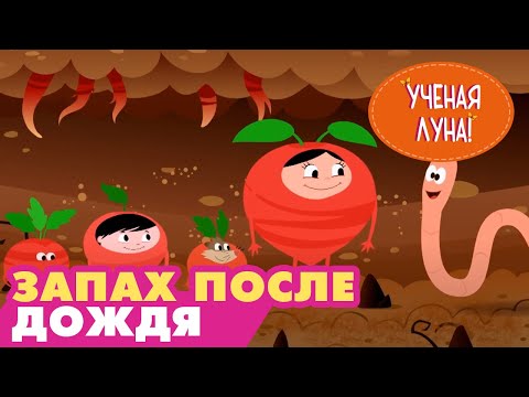 УЧЕНАЯ ЛУНА! (7 серия) (2014) мультсериал