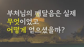 부처님의 깨달음은 실제 무엇이었고 어떻게 얻으셨을까? | 화이트레빗