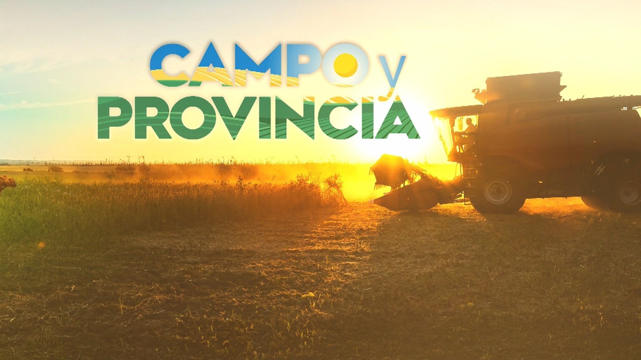CAMPO Y PROVINCIA 22 SEPTIEMBRE 2026