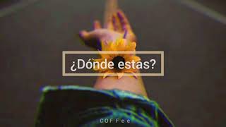 Donovan - Manzanilla • Letra