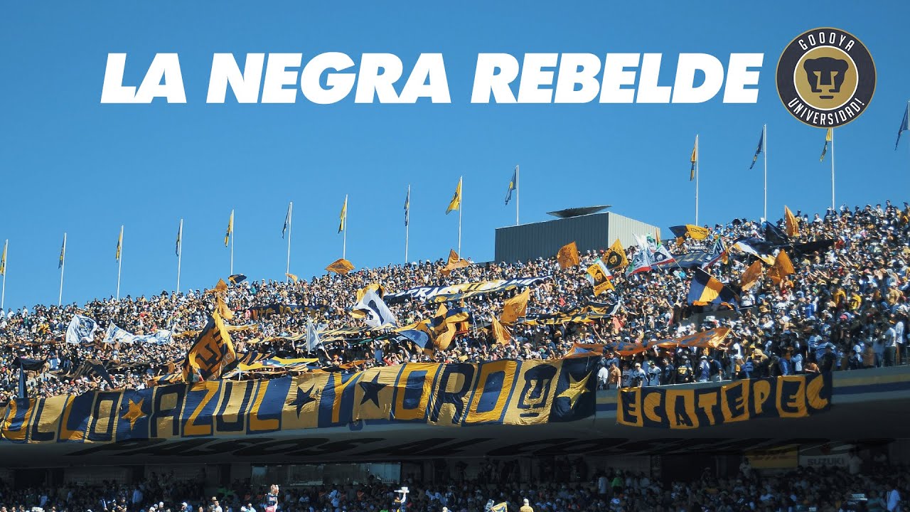 La Negra Rebelde LETRA La Rebel LBDP YouTube