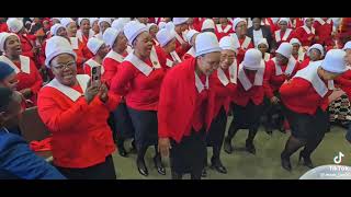 ZONKE IZONO MAZIPHELE