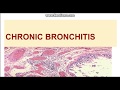 Chronic bronchitis: Etiopathogenesis and Morphology