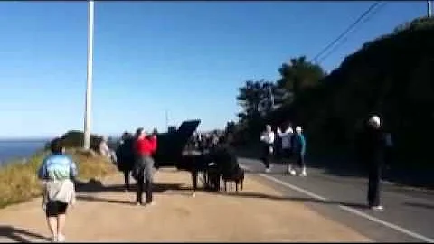 2011 Big Sur International Marathon - Sights and Sounds