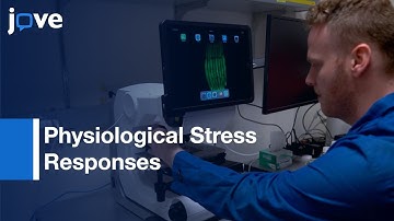 Measurements Of Physiological Stress Responses In C. Elegans l Protocol Preview