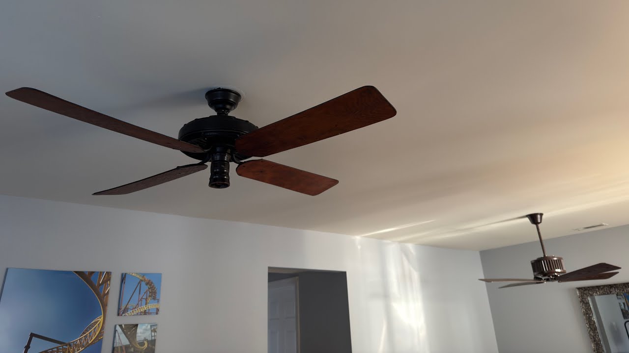 Фанаты, которых я набрал на Fanimation 2025