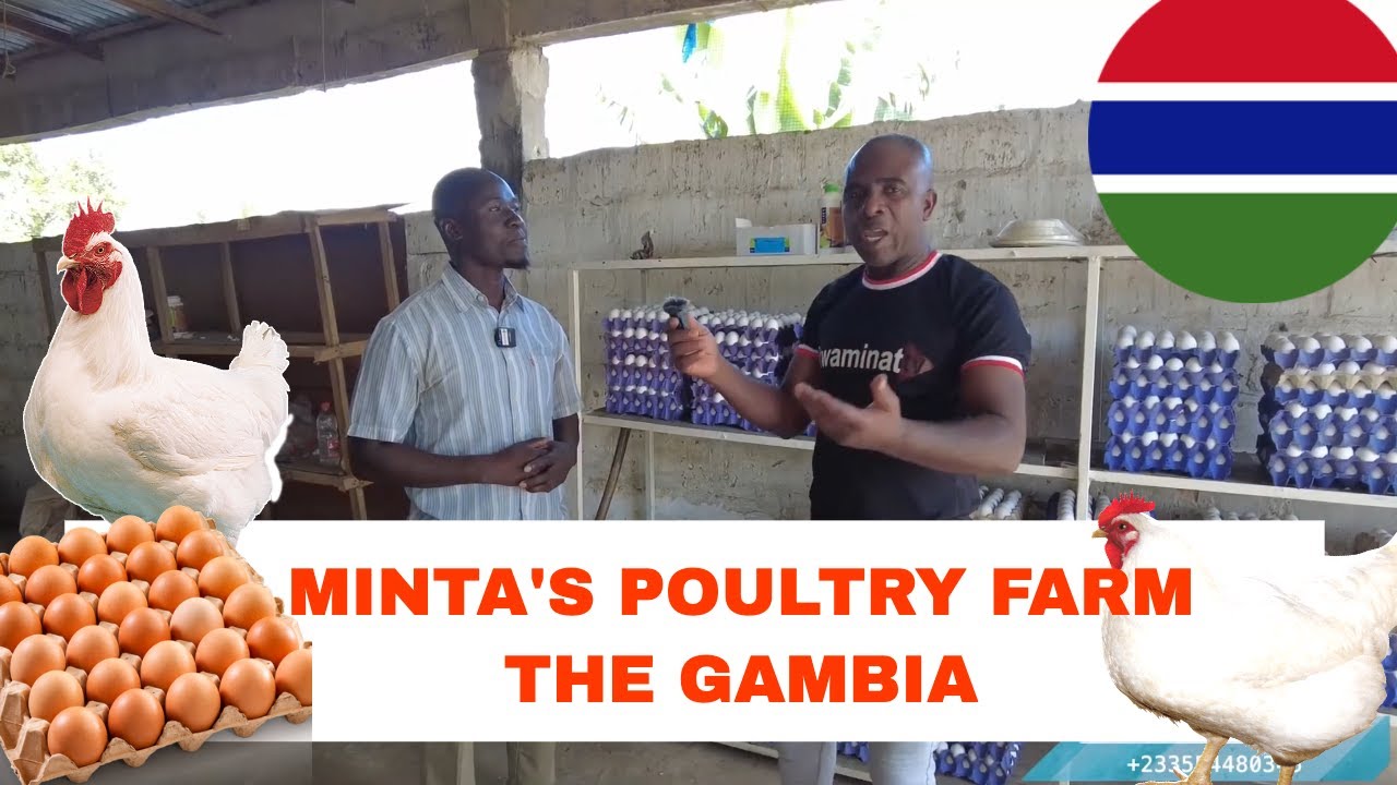 How he Moved from Italy 🇮🇹 to Open the biggest Poultry Farm in The