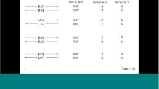 Infinium Genotyping: Strandology - Strand designations in Infinium Manifests