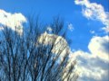 青い空 白い雲