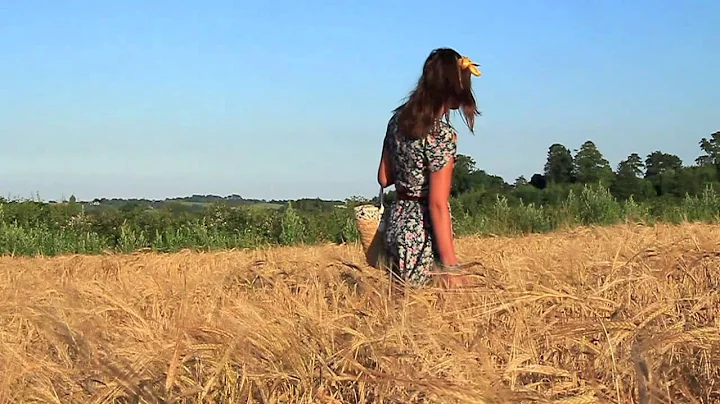 untitled title sequence