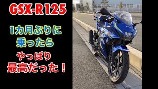 1ヵ月ぶりのGSX-R125でブン回すぜ！After all GSX-R125 is the best!