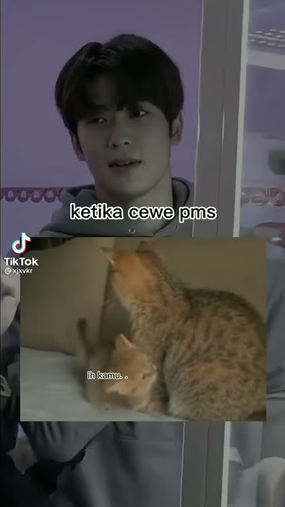 ketika cewe pms🐱  cr:tiktok