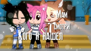 ~Мама смотри кого я нашел~Кошка Лана/Йоши/Ева/Гача клуб