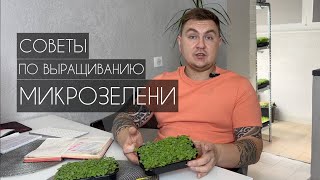 видео: Как вырастить микрозелень. Советы, тонкости, нюансы. #микрозелень картинка: Как вырастить микрозелень. Советы, тонкости, нюансы. #микрозелень