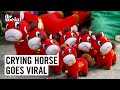 Why Is This Crying Horse Toy Going Viral? | The Social