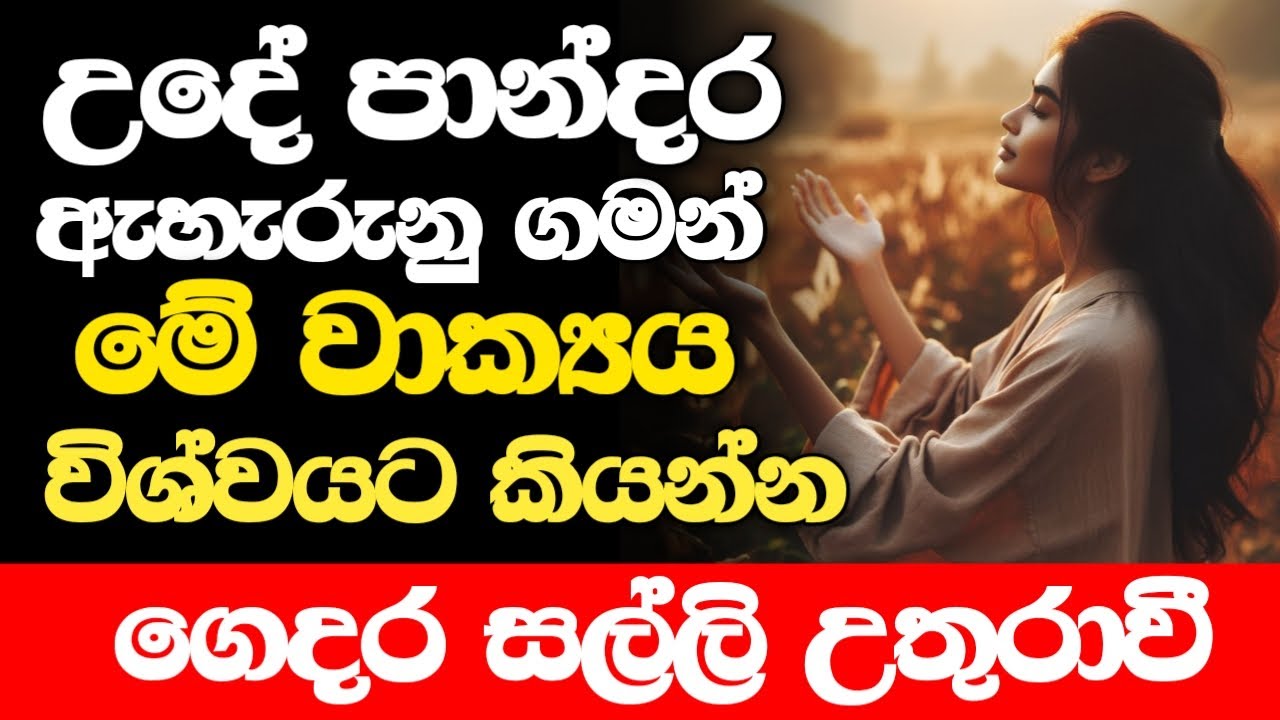 මේ වීඩියෝව දකින ඔයා වාසනාවන්තයි - මොකද මේ දේ කරොත් විශ්වයෙන් ඉල්ලන ඕනිම දෙයක් ඉශ්ඨ වේවී.