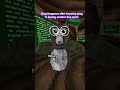 #gorillatag #vr #shorts