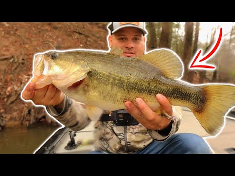 Finding MASSIVE Winter