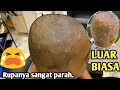 Saya pikir gatal biasa ternyata udah sangat parah pliiizz lihat terapi kami