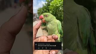 Download Lagu Tote Ki Age Kaise Pata Kare 🤔| #shorts #ytshorts #information #tips #parrot MP3