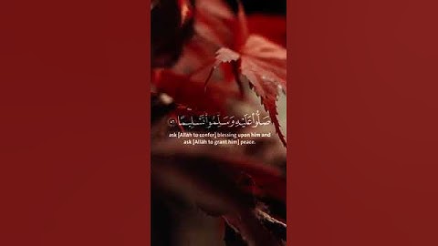 تلاوه للقرآن بصوت محمد اللحيدان | سورة الأحزاب #قرآن #طمأنينة #راحة_نفسية #اجر_لي_ولك #انشر_تؤجر