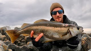 LURE FISHING FOR POLLOCK | JIG FISHING FROM THE ROCKS | CASTING METALS FOR ANYTHING THAT BITES