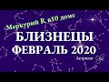 БЛИЗНЕЦЫ гороскоп на ФЕВРАЛЬ 2020. Меркурий Ретро. Астролог Olga