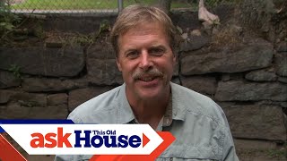 How to Replace a Lawn with Shade Perennials | Ask This Old House