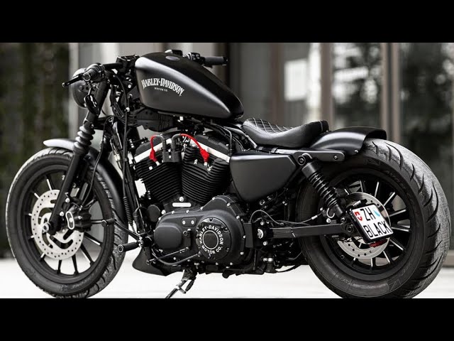 Crazy customized Harley-Davidson Sportster 883 class=