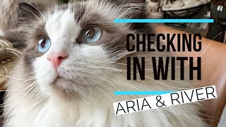 Checking in with Aria and River (& Rico!)