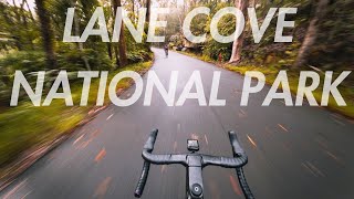 Sydney Cycling Guide: Lane Cove National Park (the most UNDERRATED training ground in Sydney)