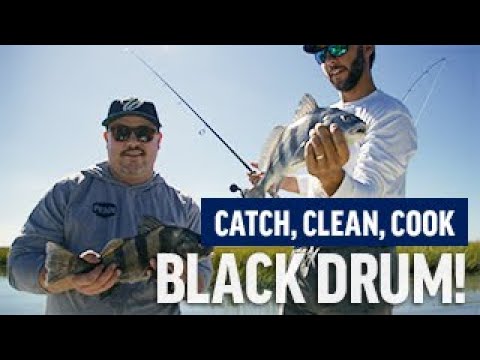 Red drum, Black drum Inshore Fishing & Culinary Mastery - PENN Tide to Table #2
