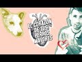 Enfermedad del corazón en perros mayores. 4 síntomas de cardiopatía en tu compañero canino 🐶💓