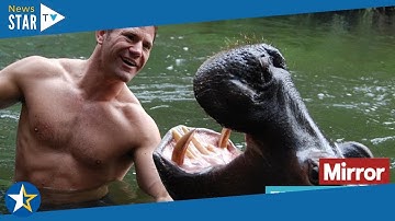 Steve Backshall recalls near death experience after being bitten in South Africa