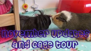 Finally!! Piggie Cage Tours and Updates | November 2016