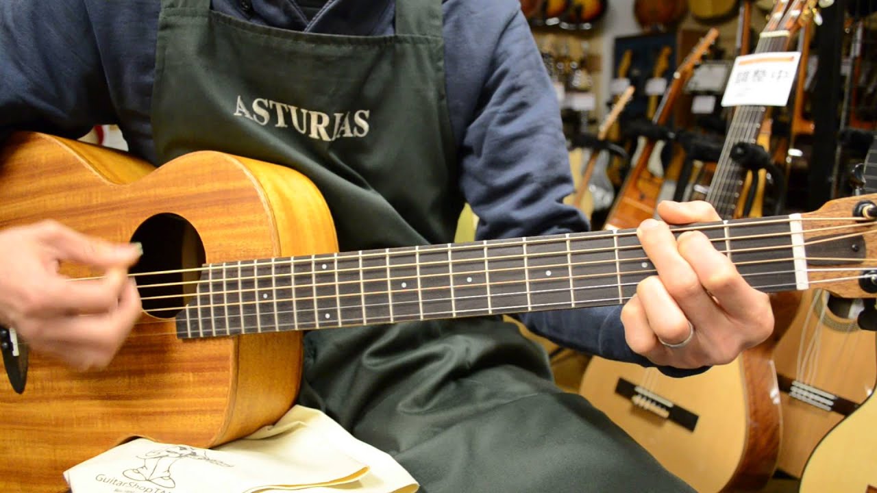 aNueNue Bird Guitar aNN-M2EF 【ピックアップ搭載】@guitarshoptantan