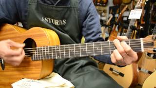 Anuenue Bird Guitar Ann-M2Ef ピックアップ搭載