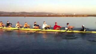 Stanford men row