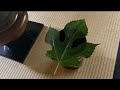 《茶道点前集》風炉の薄茶点前・葉蓋の扱い　 Sadou [Japanese Tea Ceremony]（裏千家）