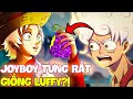 JOY BOY ĐÃ TỪNG RẤT GIỐNG VỚI LUFFY?! | JOY BOY ĐÃ LÀM GÌ MÀ KHIẾN IMU SỢ TỚI NHƯ VẬY?!