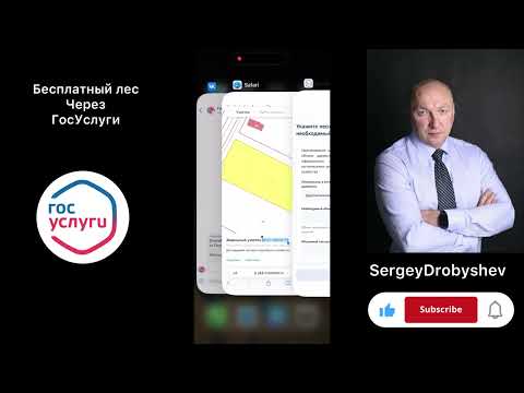 Бесплатный лес от государства. Инструкция через ГосУслуги