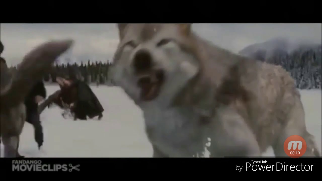 Just like fire ! Jacob, Seth and Leah . Twilight