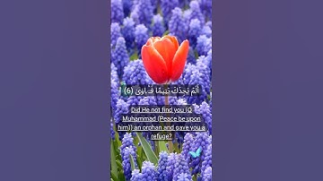 سورة الضحى مترجمة الى اللغة الانجليزية.#قران_كريم