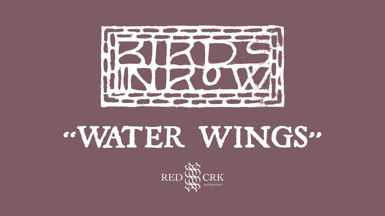 Birds in Row - Water Wings