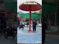 Water park dance #dance #viral #dancevideo #dancer #waterpark #water #viraldance #song #dancevideo